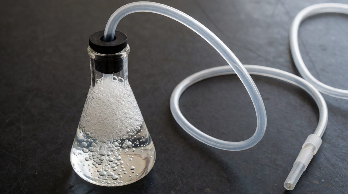 Collect the gas in a syringe and note the volume every 10 seconds - then plot it against time