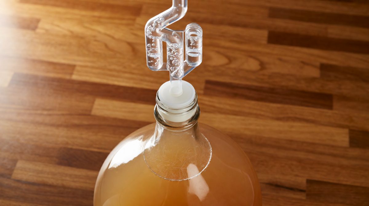 Those bubbles are yeast hard at work: glucose → ethanol + carbon dioxide, in warm conditions with no air