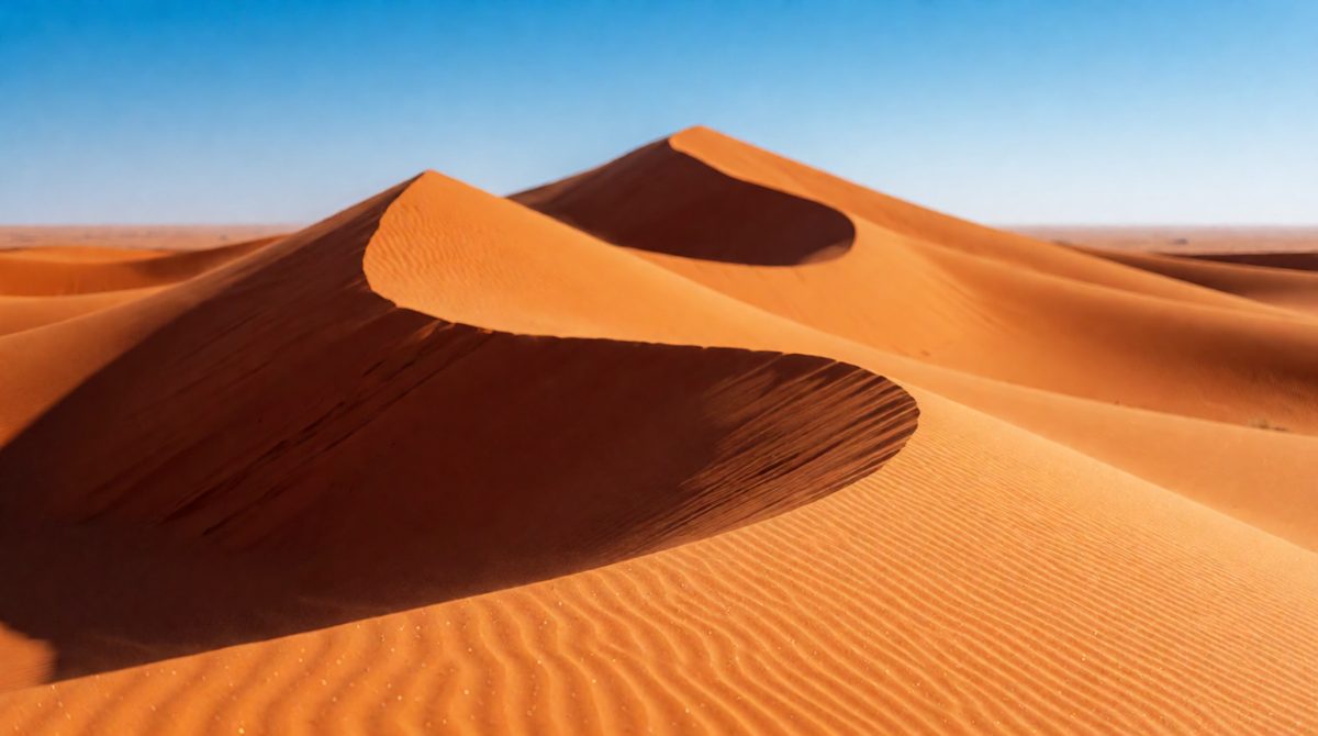 Hot deserts get very little rain and can be scorching by day but cold at night