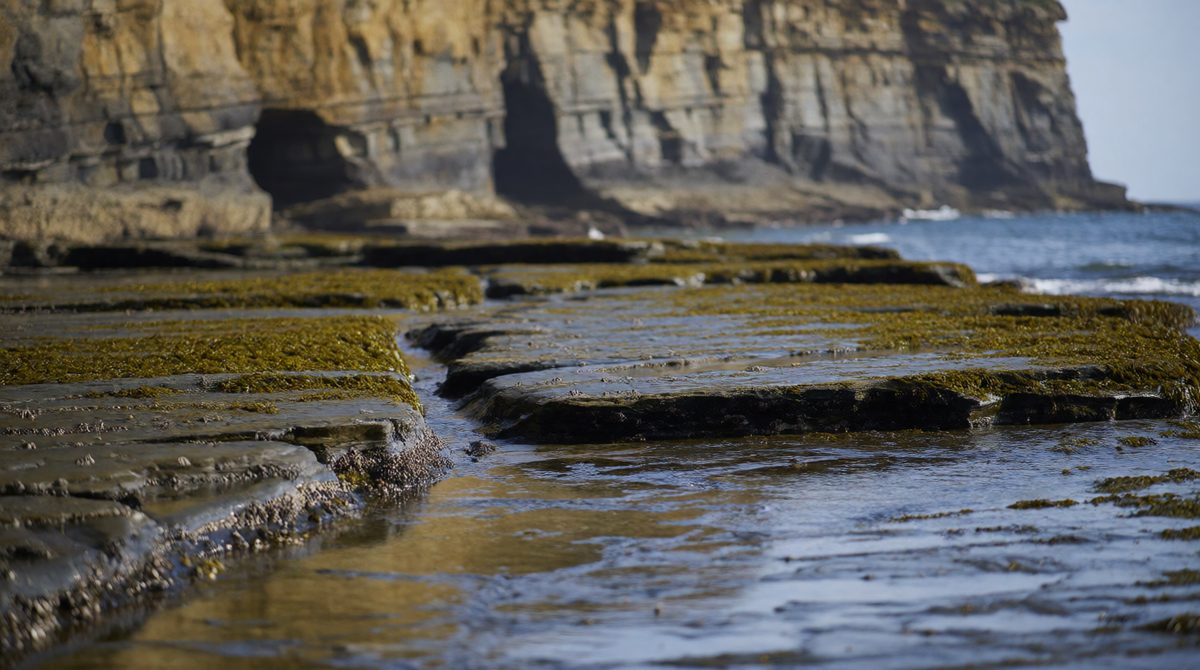 Wave-cut platforms are left behind as cliffs retreat inland