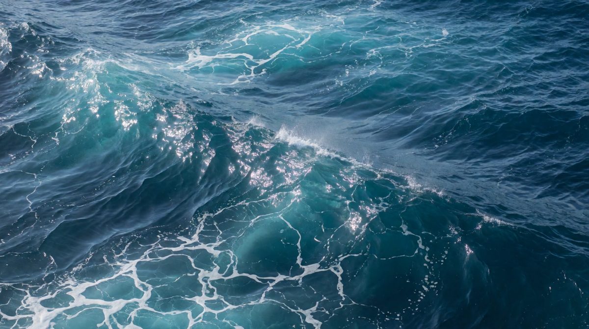 Oceans hold about 97% of Earth's water
