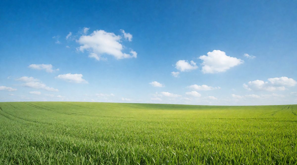 Air is mostly nitrogen and oxygen