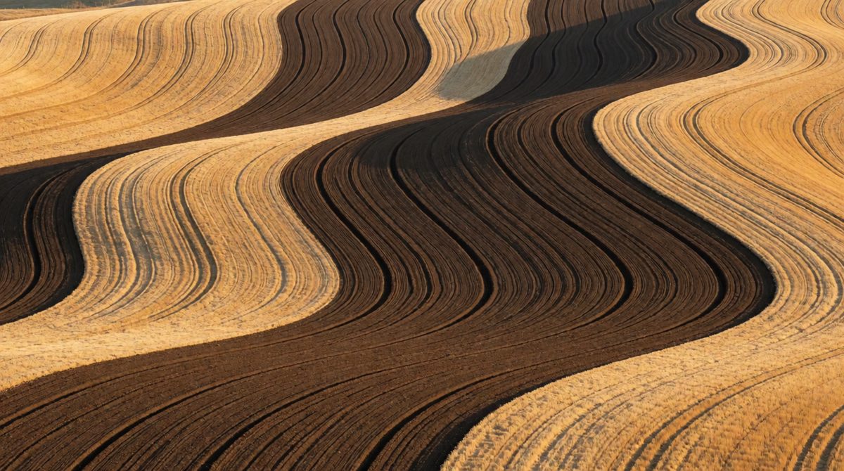 Ploughing along the contours slows down run-off