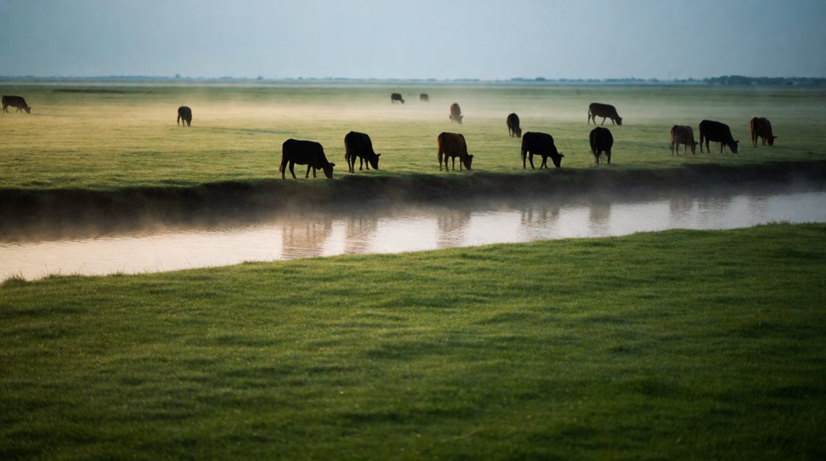 A flat, fertile floodplain beside a river - built up by sediment left behind in floods