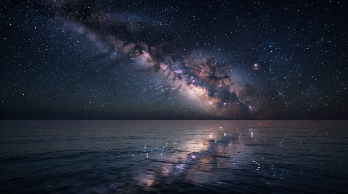 Some animals navigate using the stars