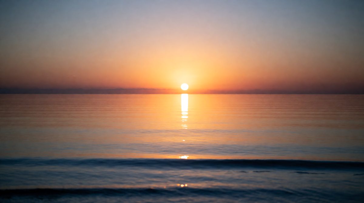 The sun powers almost all ocean life