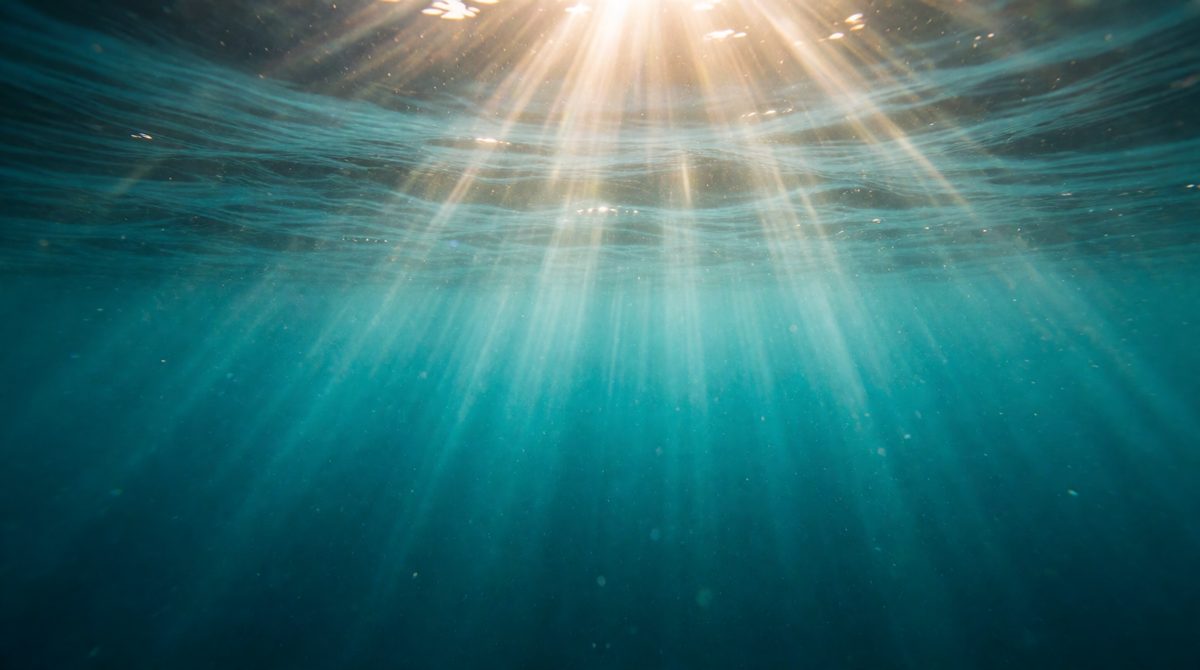 The ocean is layered by density