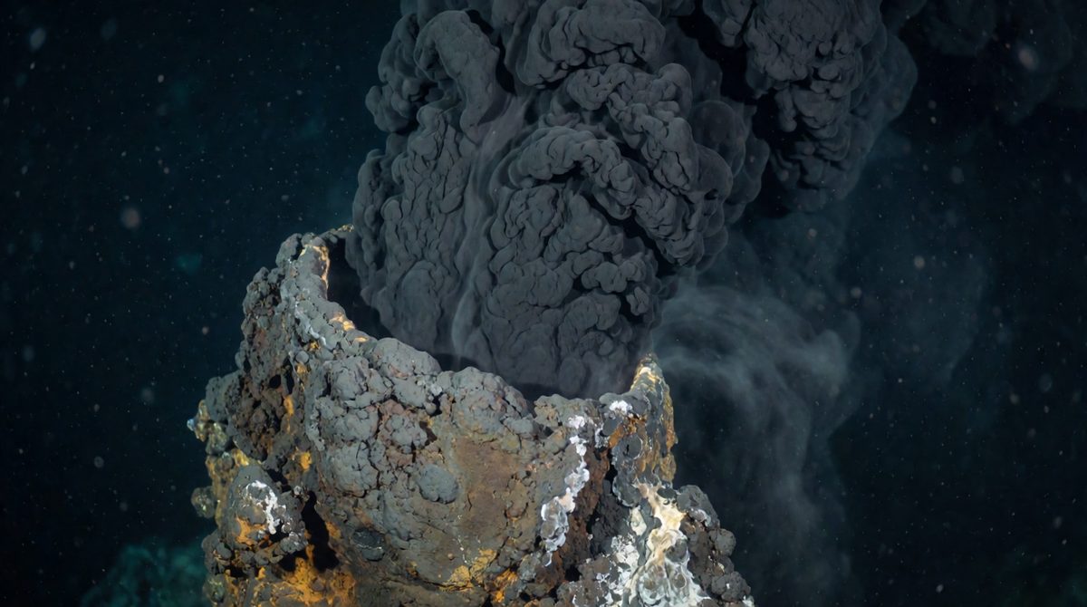Archaea live in extreme places like hydrothermal vents
