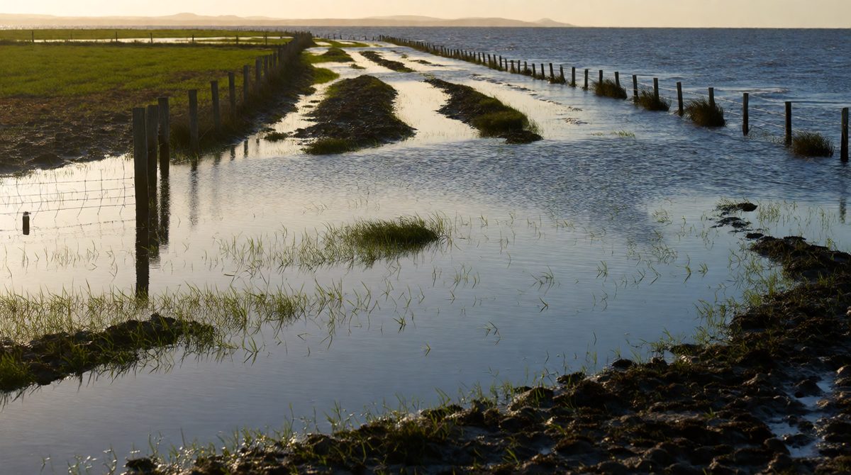 Managed retreat lets the sea flood low-value land