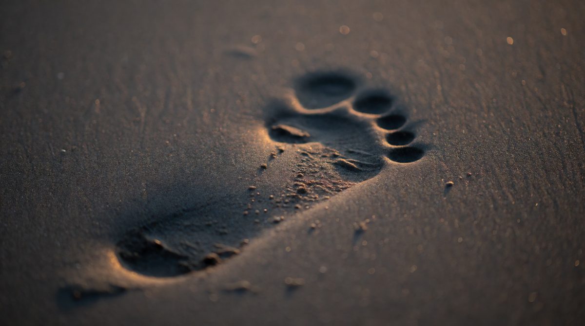 An ecological footprint measures our impact on the planet