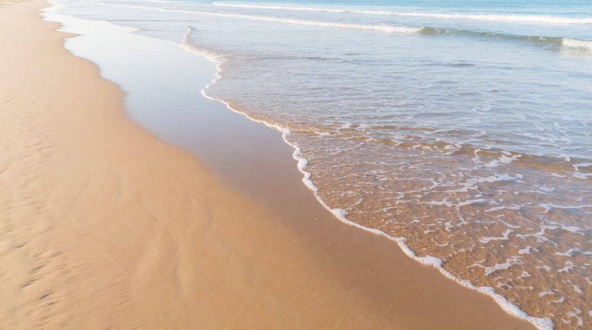 Beaches and spits form where sediment is deposited